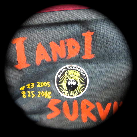 I AND I SURVIVE