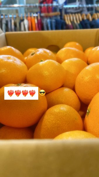 591D8782-5F82-4594-AE9D-365291C48A0B